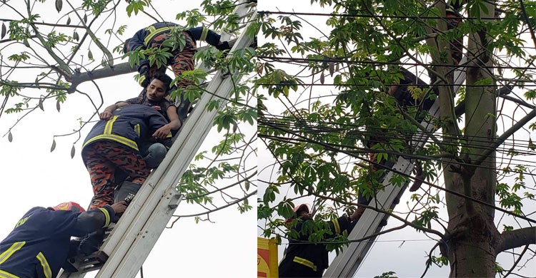 সিলেটে গাছের ডালে ঝুলেছিল যুবকের মরদেহ