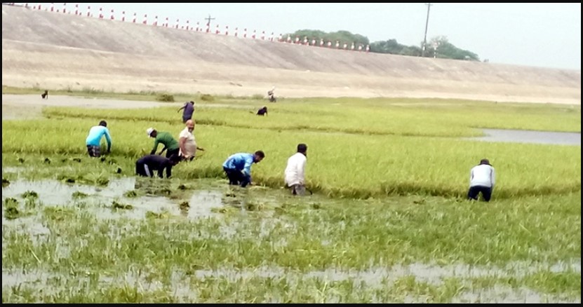 সুনামগঞ্জে কালবৈশাখীর তাণ্ডব